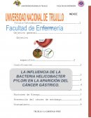 LA INFLUENCIA DE LA BACTEORIA HELICOBACTER PYLORI EN LA APARICIÓN DEL CÁNCER GÁSTRICO