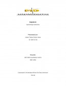 Reflexión sobre las características del aprendizaje autónomo
