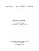 Informe de administración de salarios