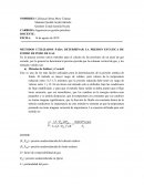 METODOS UTILIZADOS PARA DETERMINAR LA PRESION ESTATICA DE FONDO DE POZO DE GAS