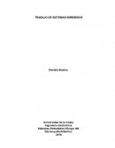 TRABAJO DE SISTEMAS EMBEBIDOS