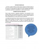 SEGMENTACION DEL MERCADO . ANALISIS DE LA DEMANDA