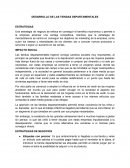 DESARROLLO DE LAS TIENDAS DEPARTAMENTALES