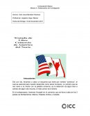 Computación Básica T4