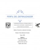 Ejemplo Perfil del Defraudador