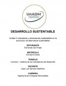 Actividad 1. Análisis de los indicadores del desarrollo