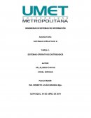 LOS SISTEMAS OPERATIVOS DISTRIBUIDOS