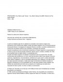 TRABAJO PRÁCTICO N° 3 “OBRA PÚBLICA DE GOBIERNO”