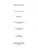 Informe ascenso ebulloscopico