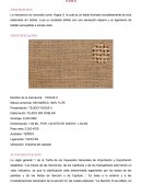 Fundamentación de fracción arancelaria