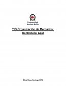 TIG Organización de Mercados: Scotiabank Azul