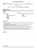 PRACTICA LOS CLOROPLASTOS Y LA FOTOSINTESIS