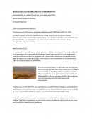 MODELO HOLISTICO Y SU INFLUENCIA EN LA INGENIERIA CIVIL