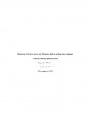 Relacionar principios básicos del fenómeno eléctrico a situaciones cotidianas
