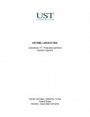 INFORME LABORATORIO Laboratorio nº1: Productos quimicos