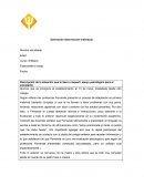 INFORME DERIVACIÓN A CENTRO DE SALUD MENTAL