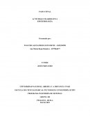 DESEMPLEO EN EL MUNICIPIO PITALITO HUILA