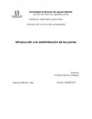 Introducción a la administración de las pymes