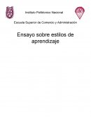 Ensayo sobre estilos de aprendizaje