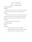 Diagnóstico de la gestión RSE de la Empresa