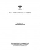 Manual de buenas practicas en laboratorio