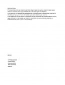 Analisis de amor de invierno