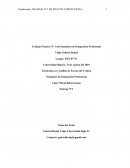Trabajo Práctico N° 1 del Seminario de Integración Profesional
