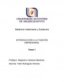 INTRODUCCIÓN A LA FUNCIÓN EMPRESARIAL