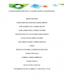 Generalidades de Botanica