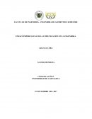 IMPORTANCIA DE LA COMUNICACIÓN EN LA INGENIERÍA