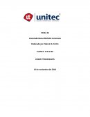 Las raices de la empatia y las artes sociales