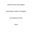 Aprendizajes, Estilos y Estrategias