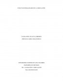 GENERALIDADES DE LA SIMULACIÓN