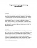 Diagnóstico riesgos ergonómicos y psicosociales