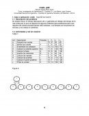 Investigación de Operaciones Caso o aplicación: crash