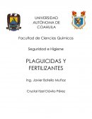 Seguridad e Higiene PLAGUICIDAS Y FERTILIZANTES
