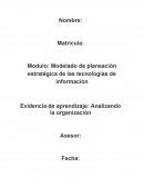 Analizando la organizacion