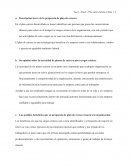 Descripción breve de la propuesta de plan de carrera