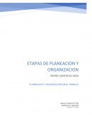 Etapas de organización y planeacion