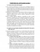 Territorio del Capitalismo Global