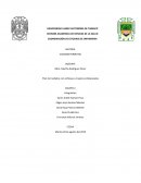 Plan de Cuidados con enfoque a mujeres embarazadas
