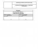 Programa de saneamiento