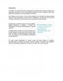 Introduccion al proceso de ventas