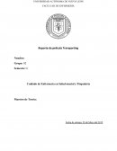 Reporte de película Transporting