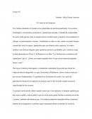 El limite de las empresas