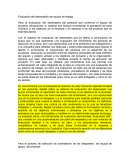 Evaluación del desempeño del equipo de trabajo