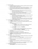 Varios primates fósiles