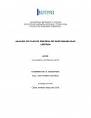 ANALISIS DE CASO DE EMPRESA DE RESPONSABILIDAD LIMITADA