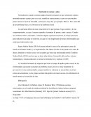 Nutriendo cuerpo y alma