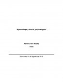 Aprendizaje, estilos y estrategias